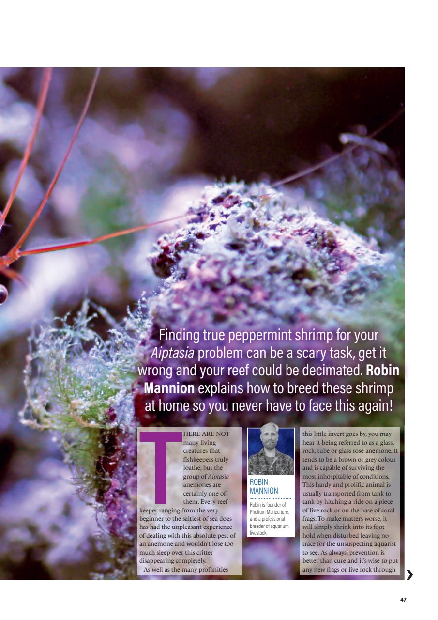 Practical Fishkeeping Preview Pages