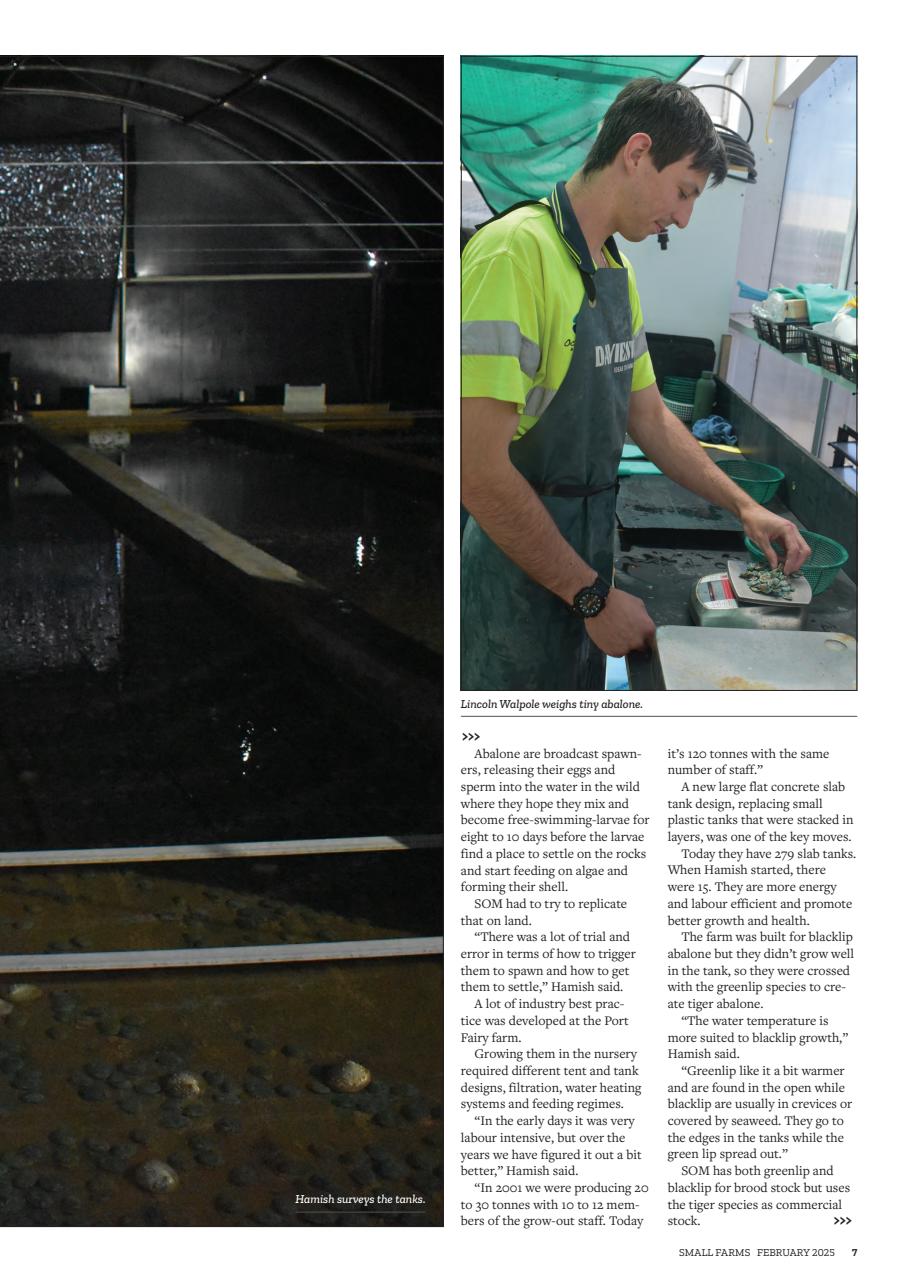 Small Farms Preview Pages