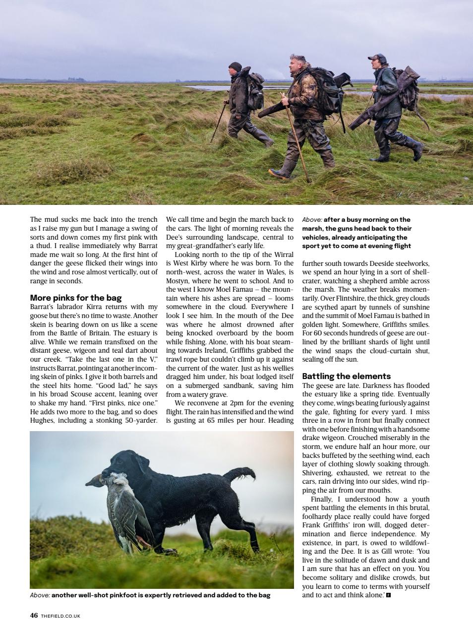 The Field Preview Pages