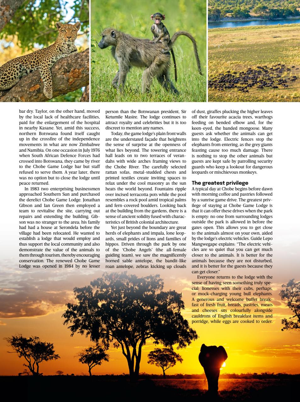 The Field Preview Pages