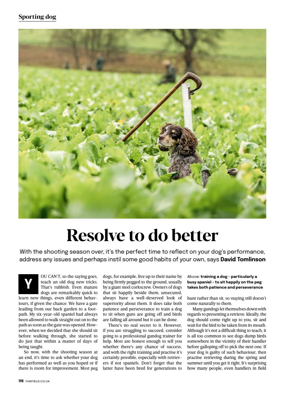 The Field Preview Pages