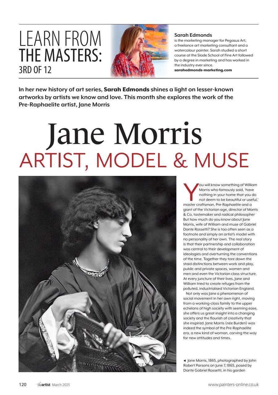 The Artist Preview Pages