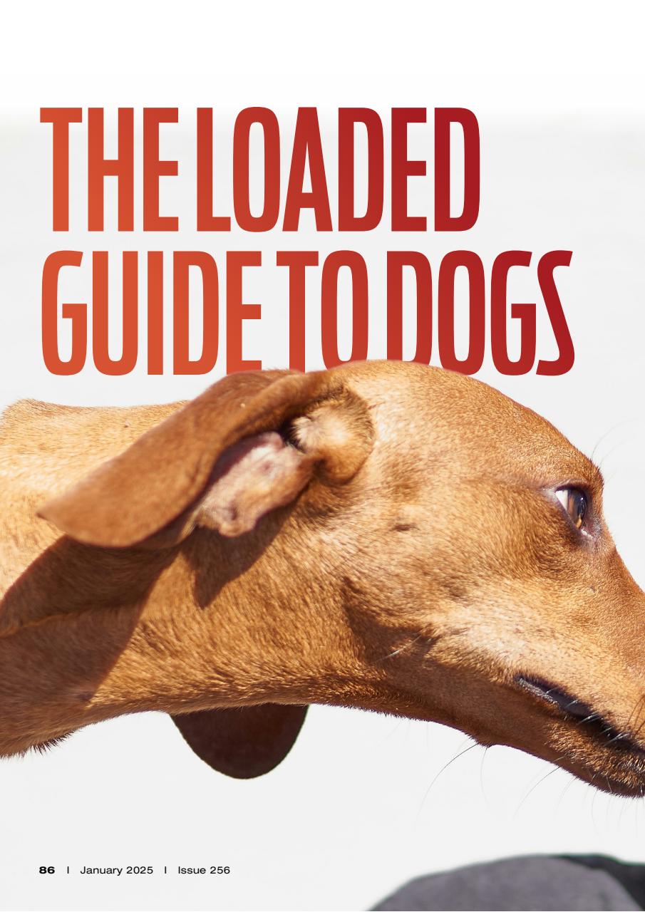 Loaded Preview Pages