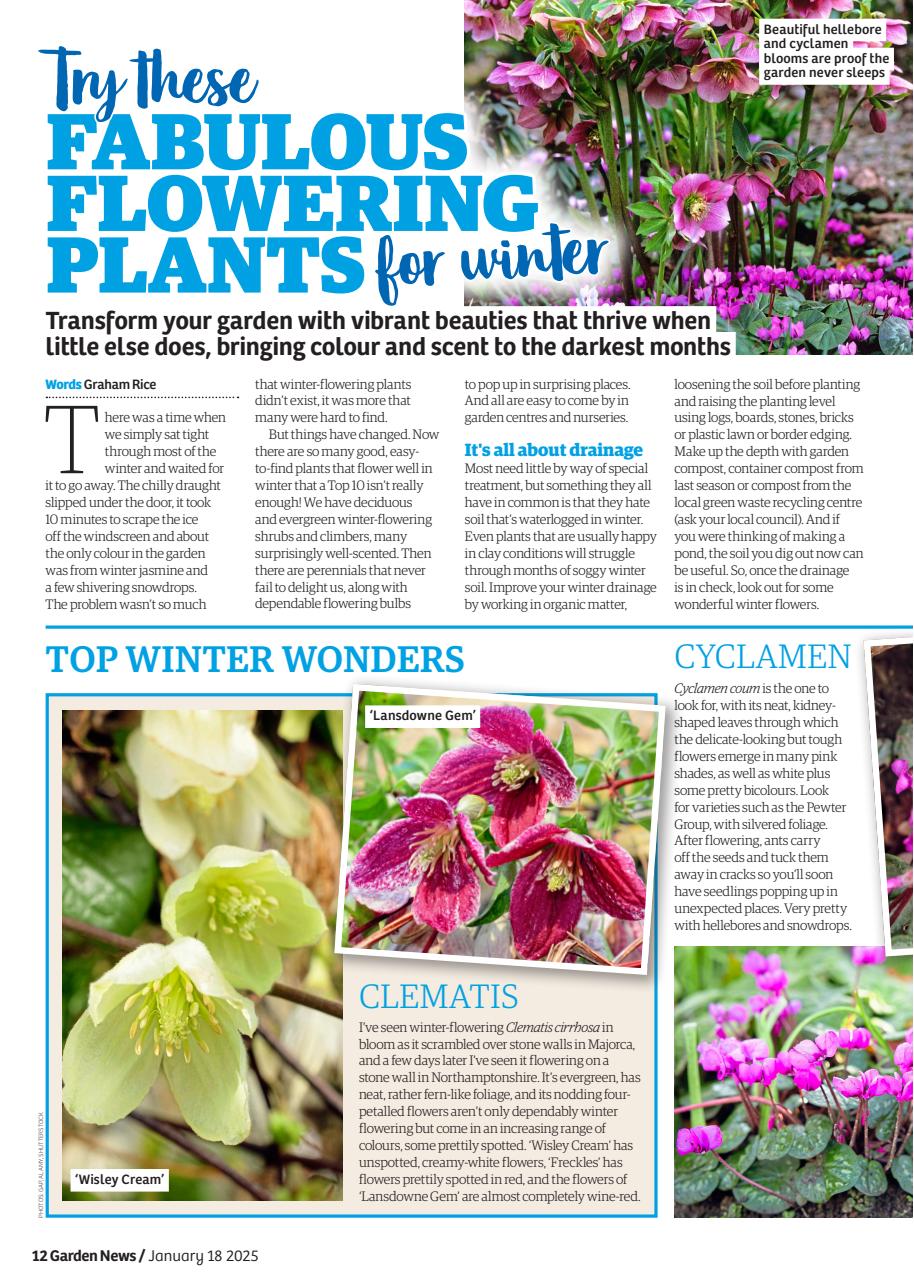 Garden News Preview Pages