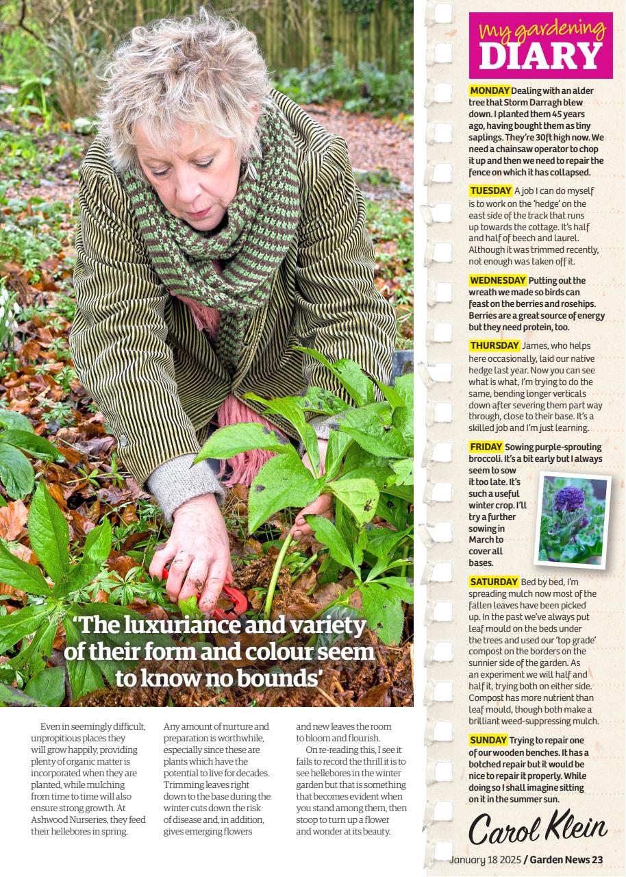 Garden News Preview Pages