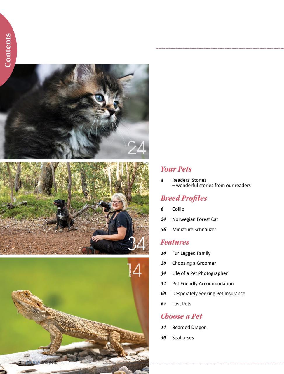 Dogs and Pets Preview Pages