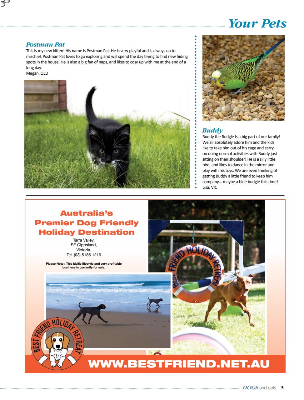 Dogs and Pets Preview Pages