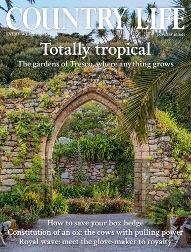 Country Life issue 