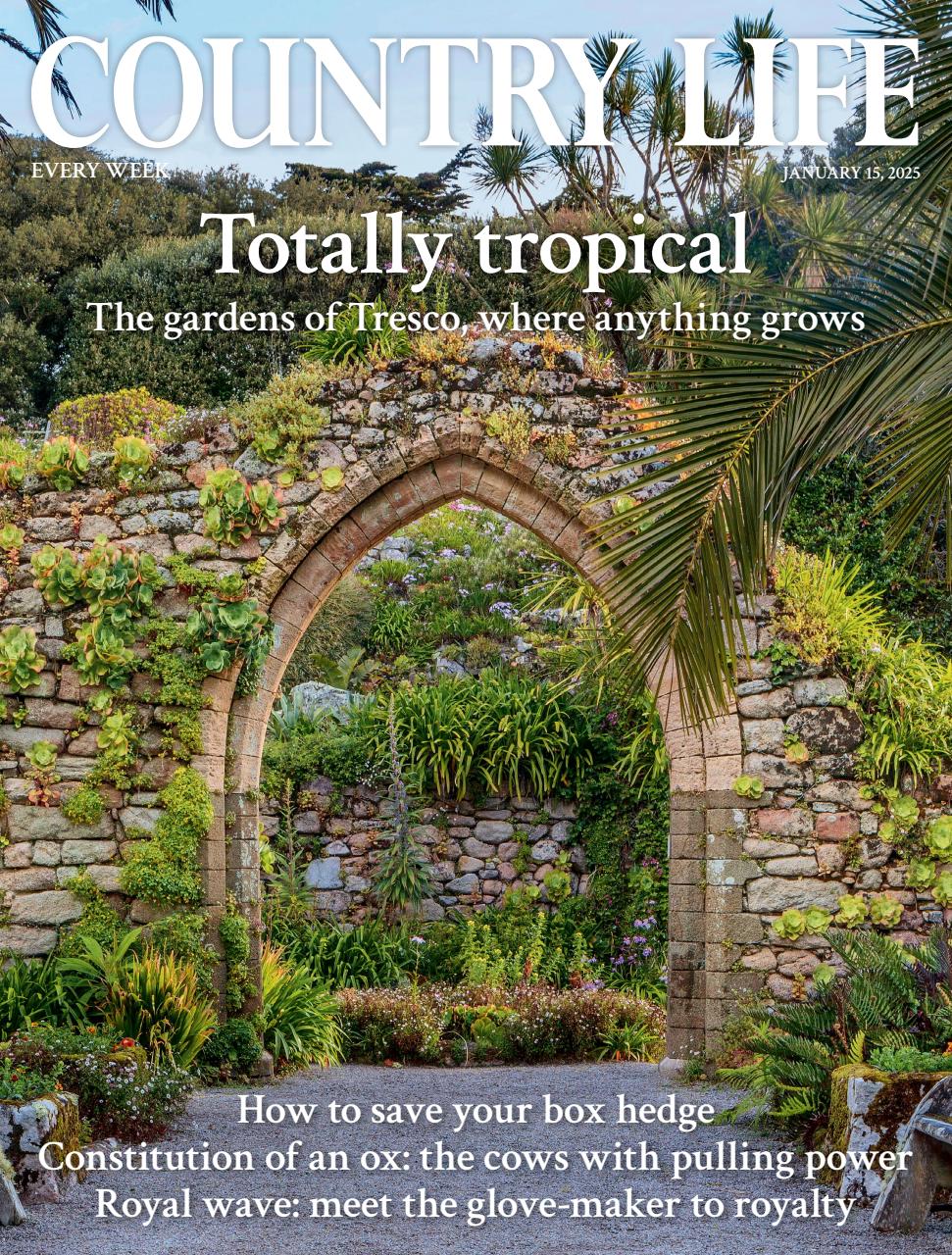 Country Life Preview Pages