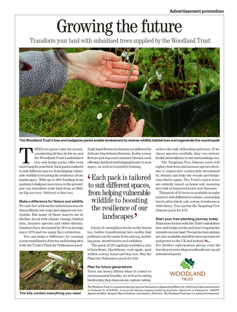 Country Life Preview Pages