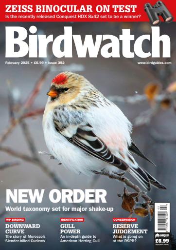 Birdwatch Magazine issue 