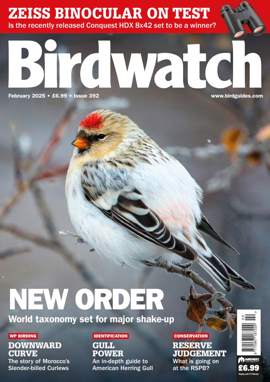 Birdwatch Magazine Preview Pages