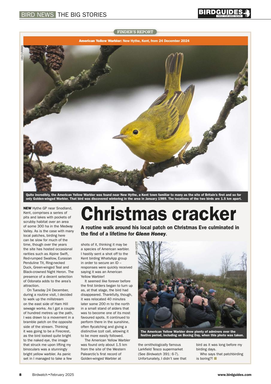 Birdwatch Magazine Preview Pages