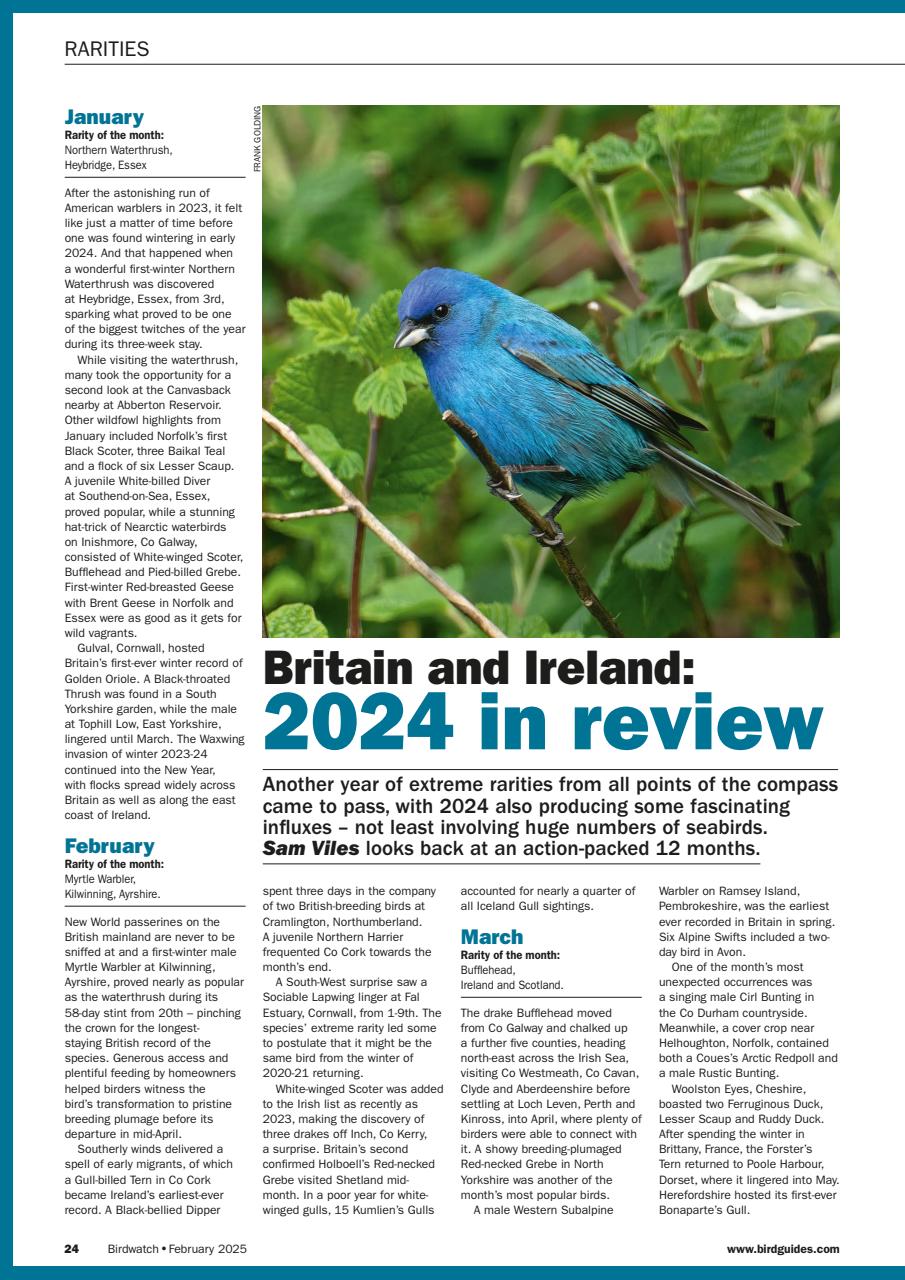 Birdwatch Magazine Preview Pages