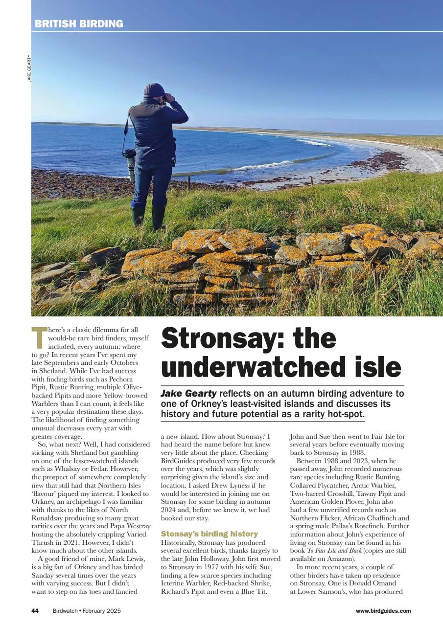 Birdwatch Magazine Preview Pages