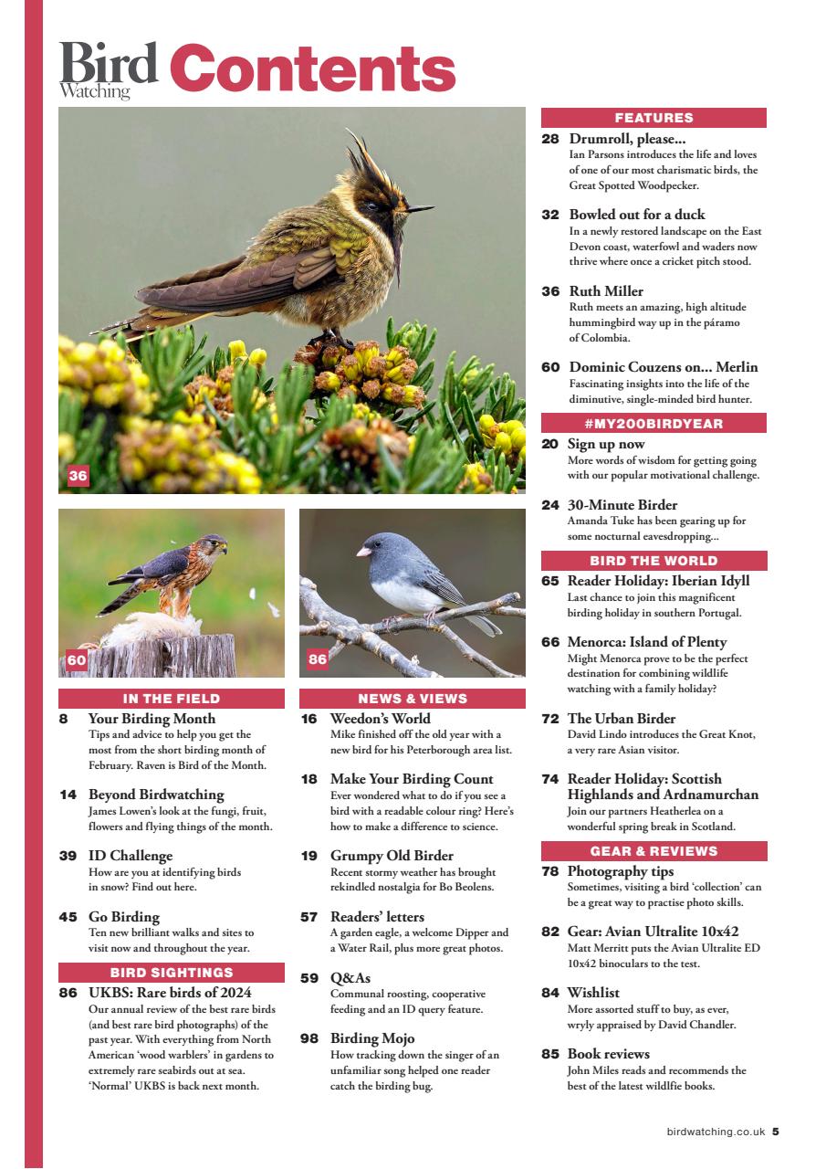 Bird Watching Preview Pages
