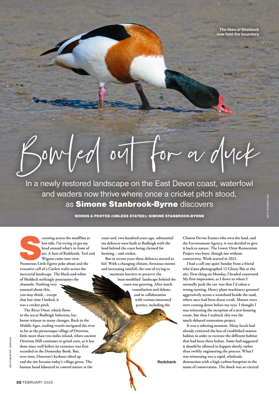 Bird Watching Preview Pages