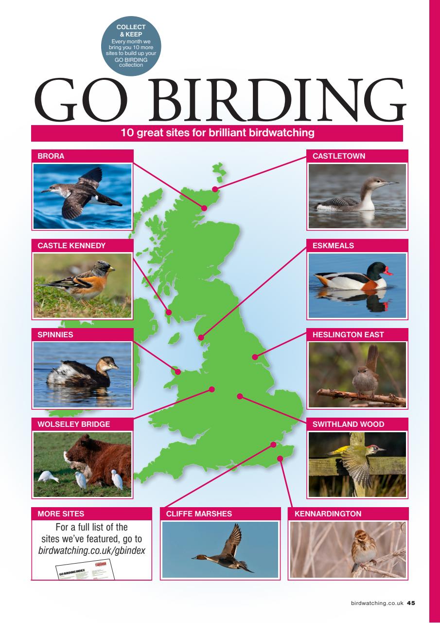 Bird Watching Preview Pages