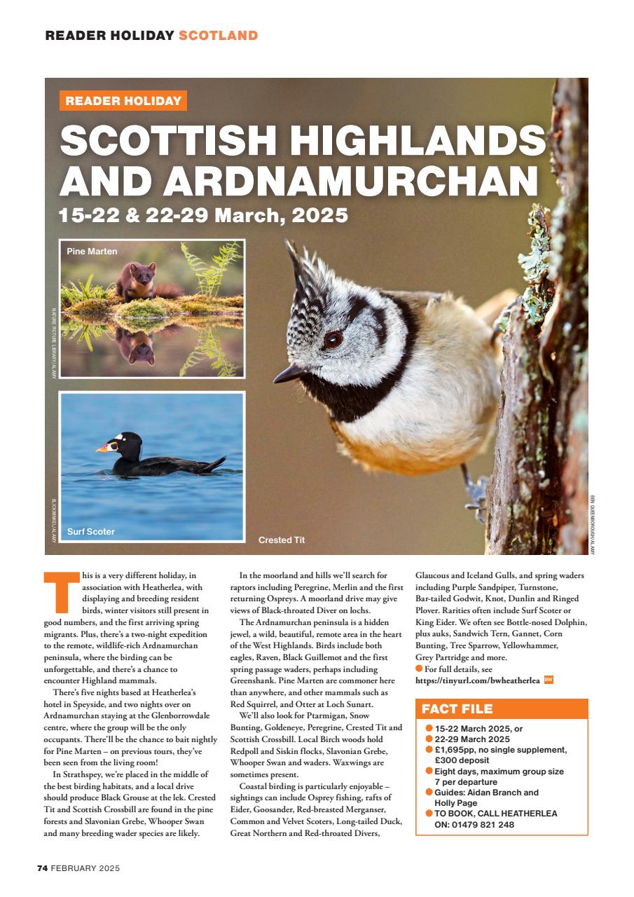 Bird Watching Preview Pages