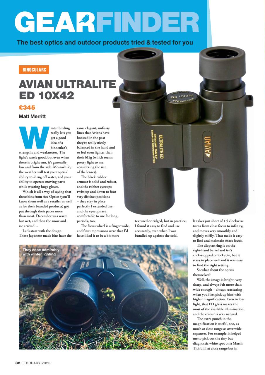 Bird Watching Preview Pages