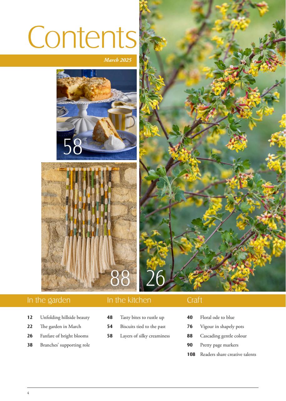 LandScape Preview Pages