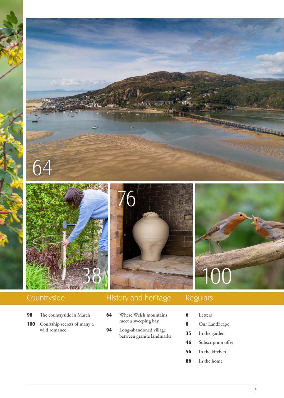 LandScape Preview Pages