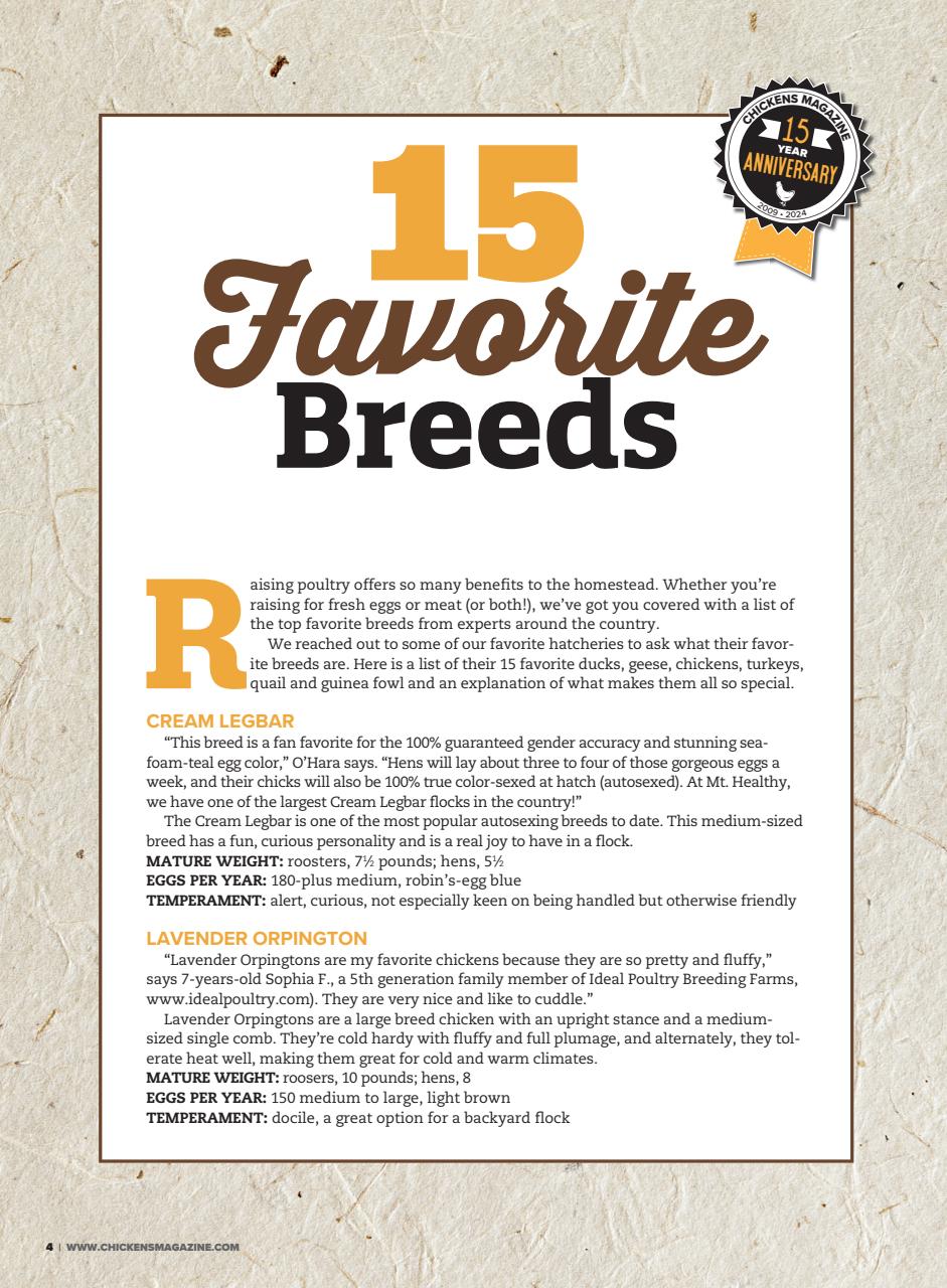 Chickens Magazine Preview Pages