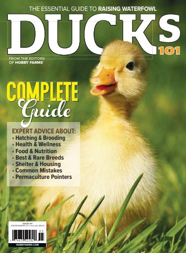 Chickens Magazine issue 