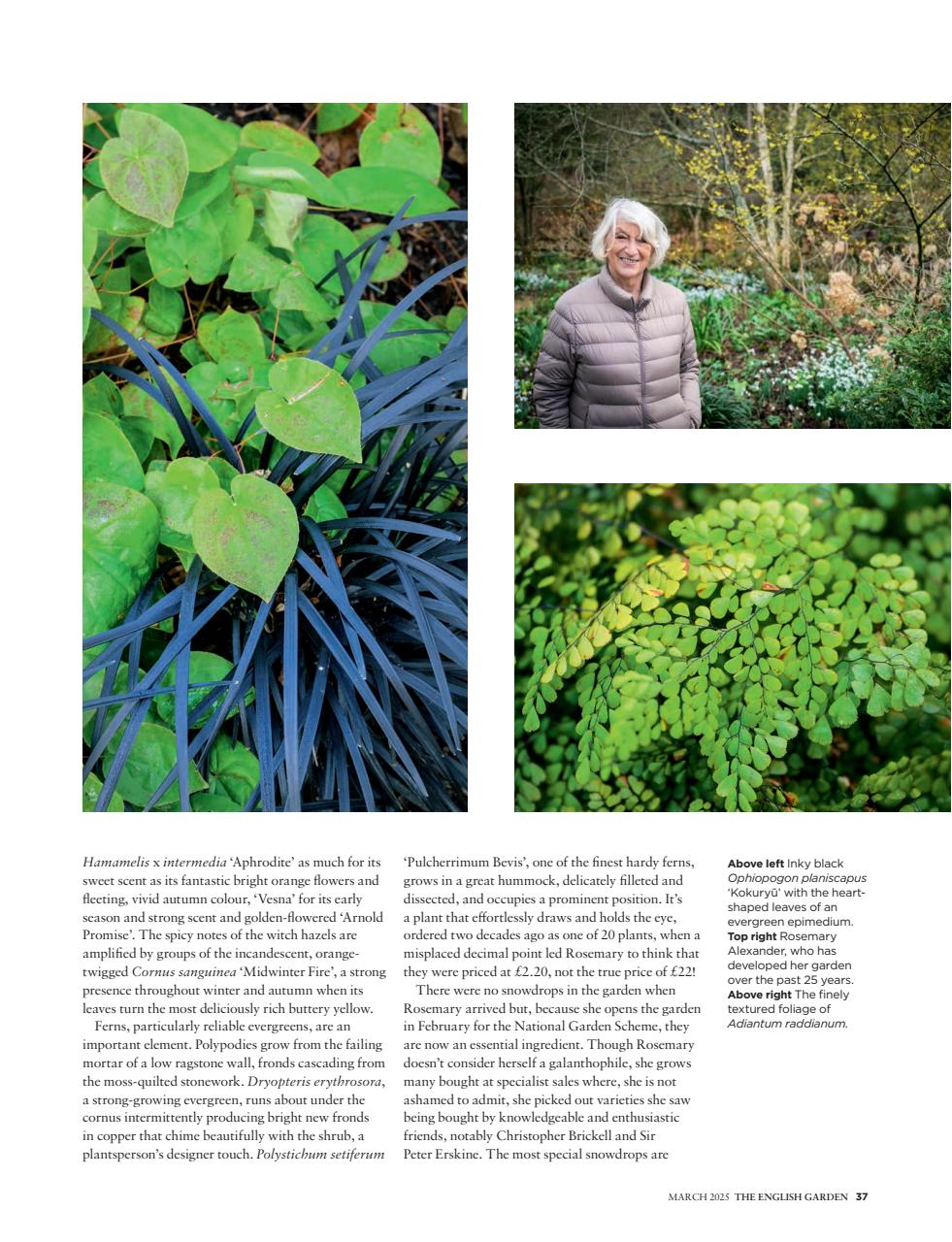 The English Garden Preview Pages