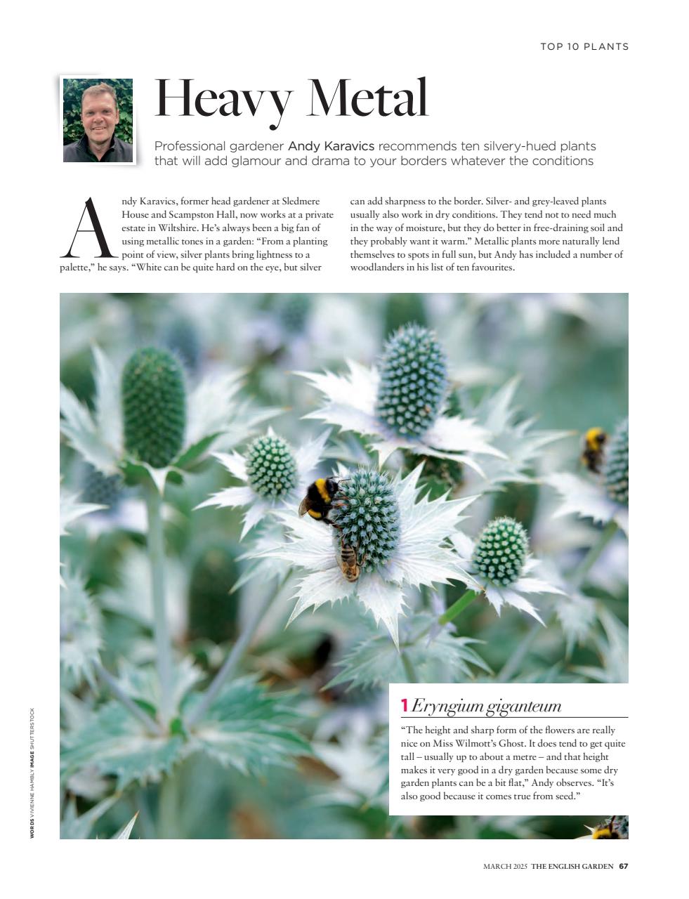 The English Garden Preview Pages