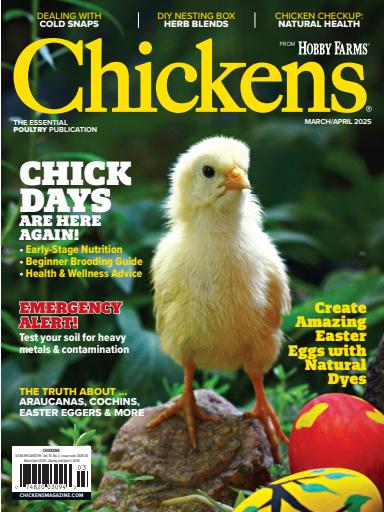 Chickens Magazine issue 