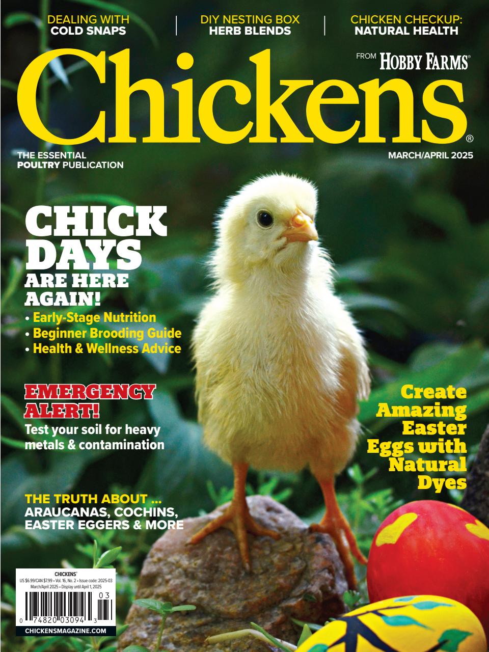 Chickens Magazine Preview Pages