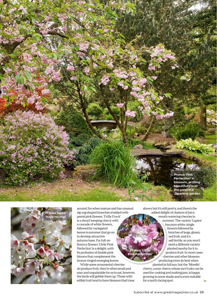 Garden Answers Preview Pages