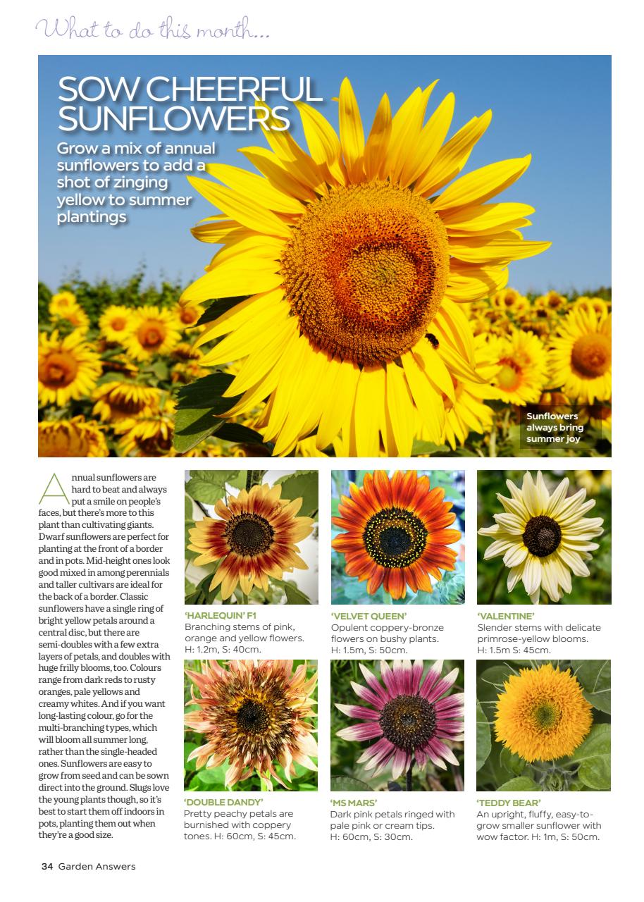 Garden Answers Preview Pages