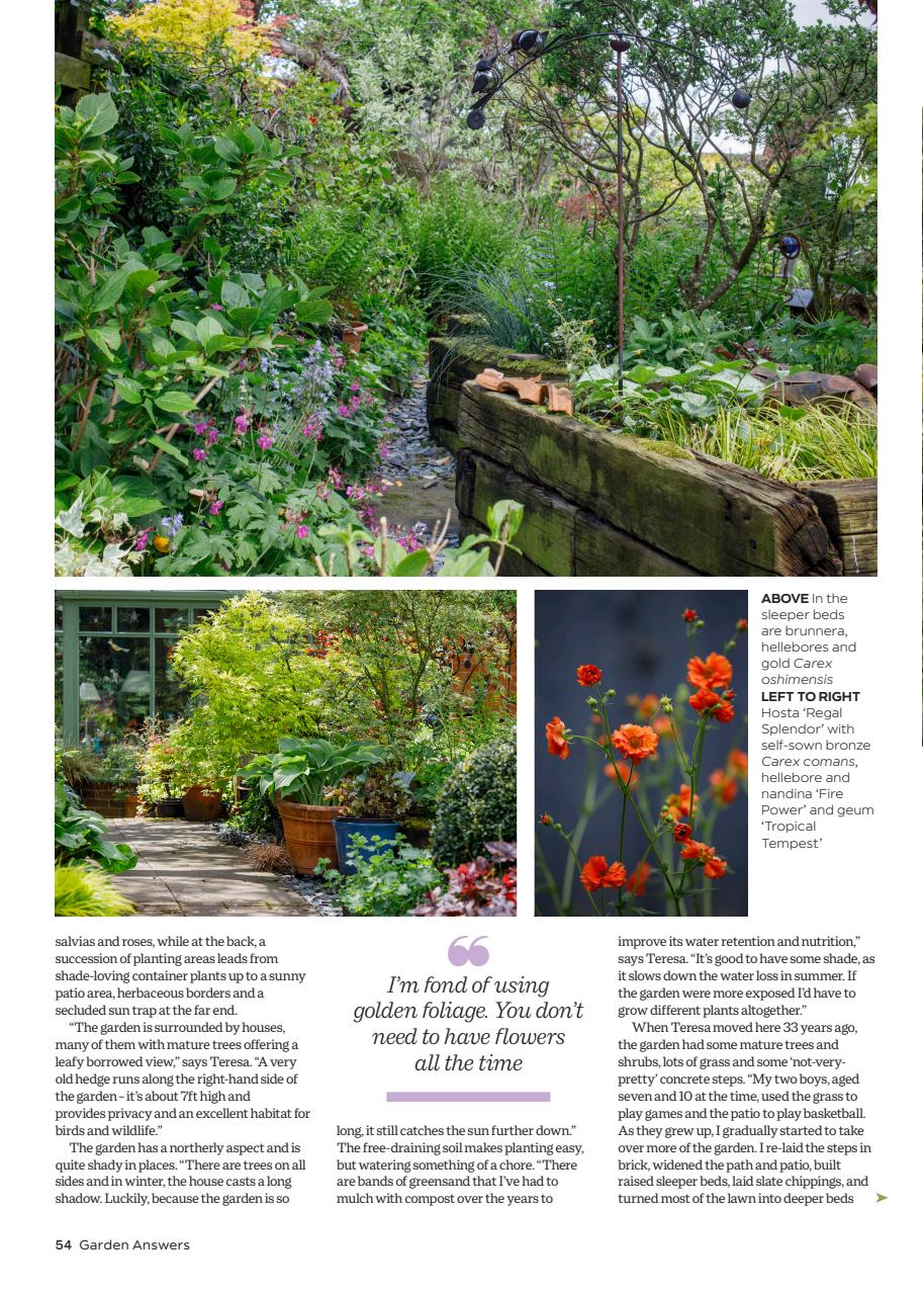 Garden Answers Preview Pages