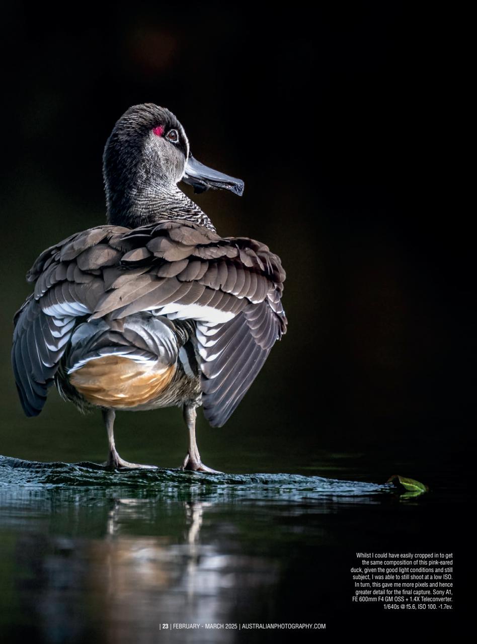 Australian Photography Preview Pages