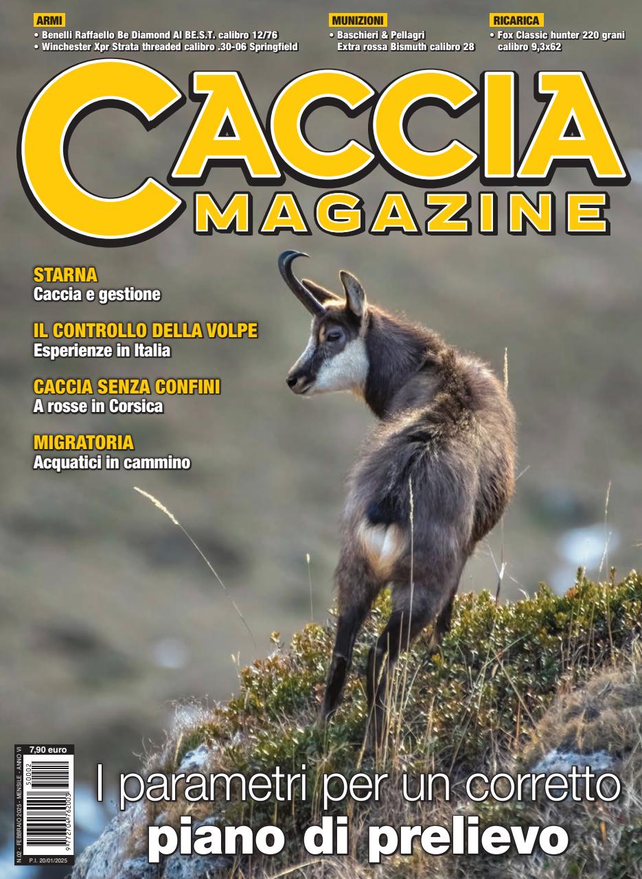 Caccia Magazine Preview Pages