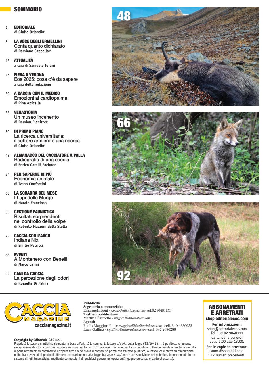 Caccia Magazine Preview Pages