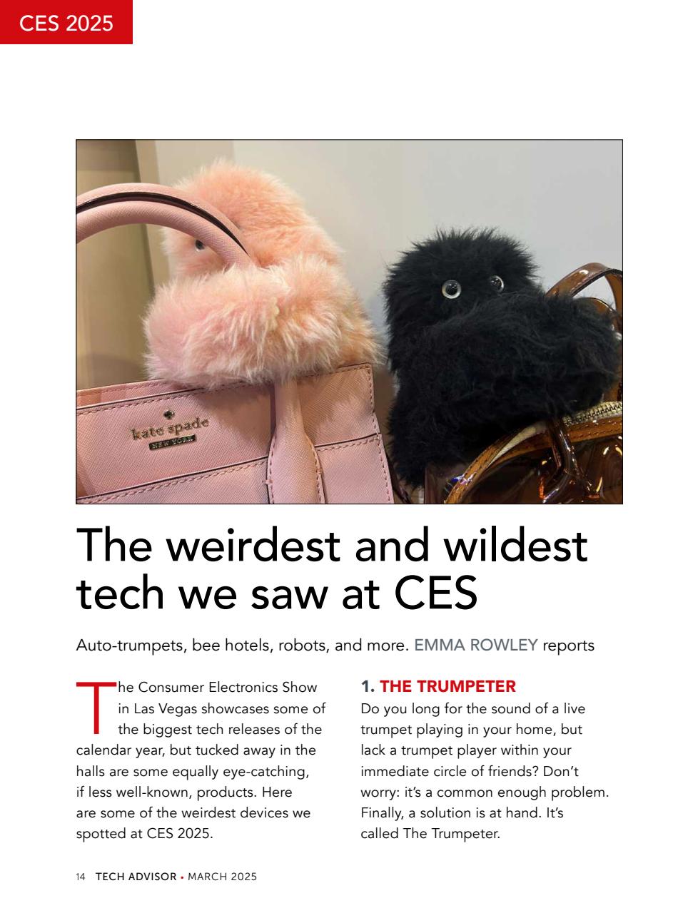 Tech Advisor Preview Pages