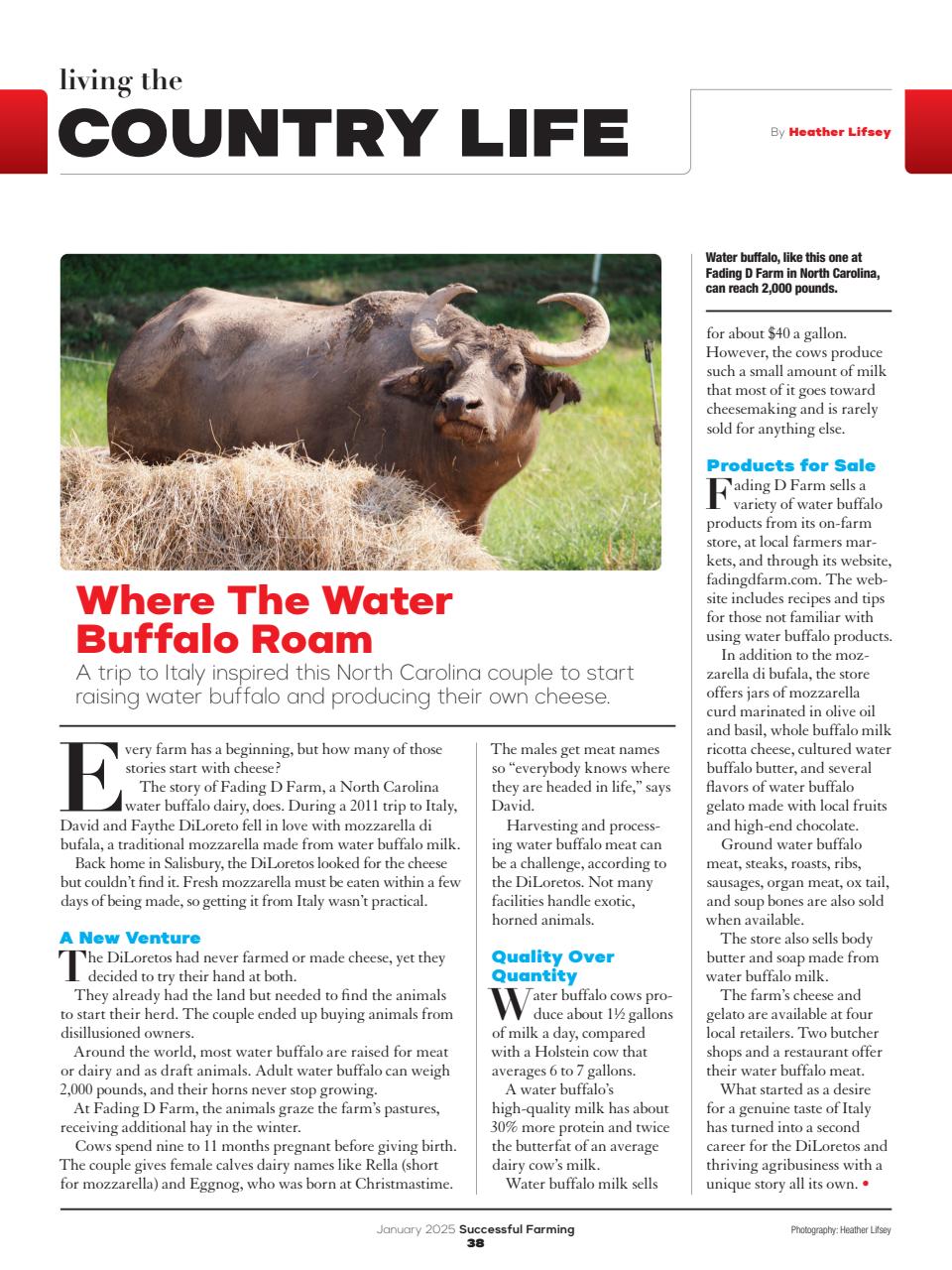 Successful Farming Preview Pages