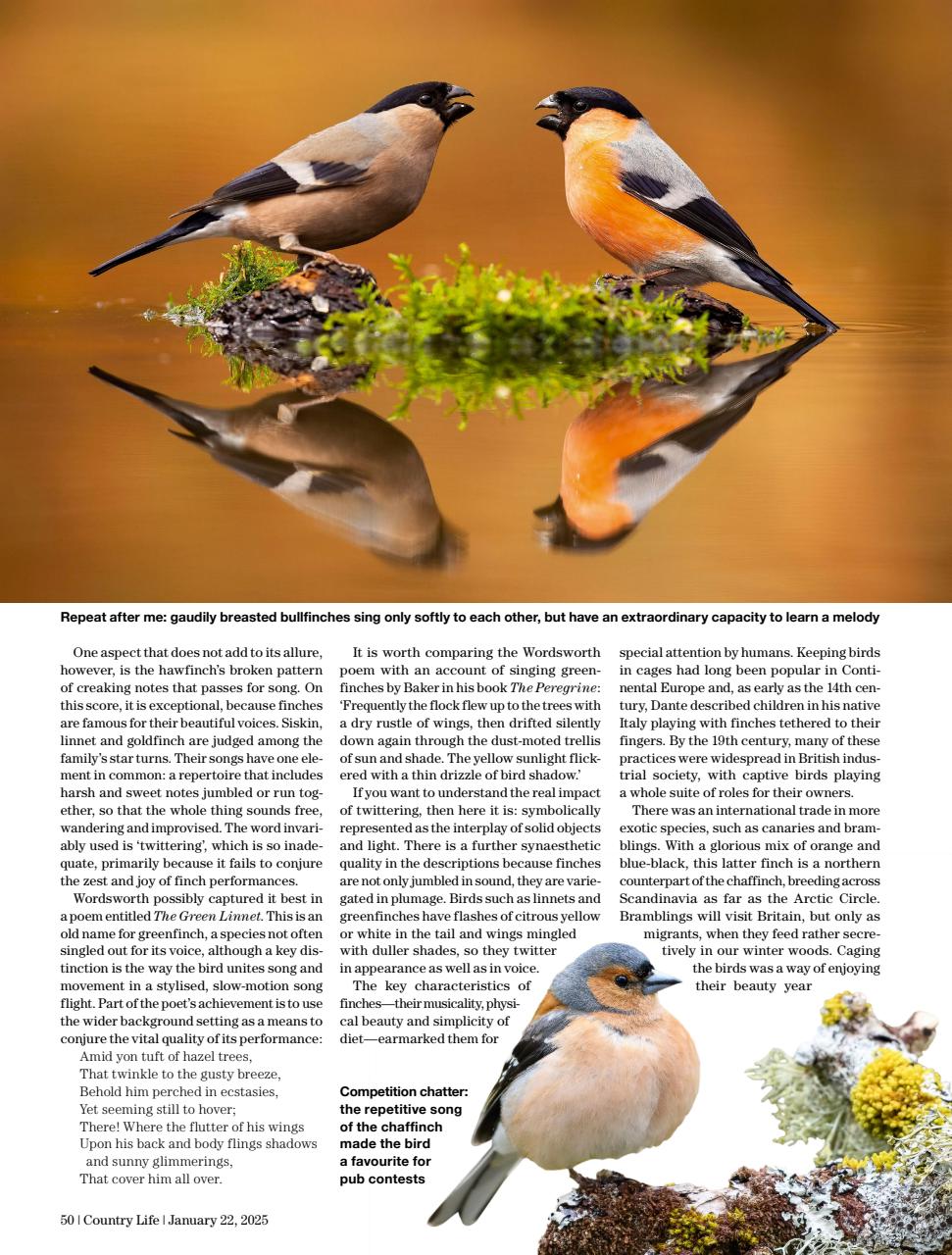 Country Life Preview Pages