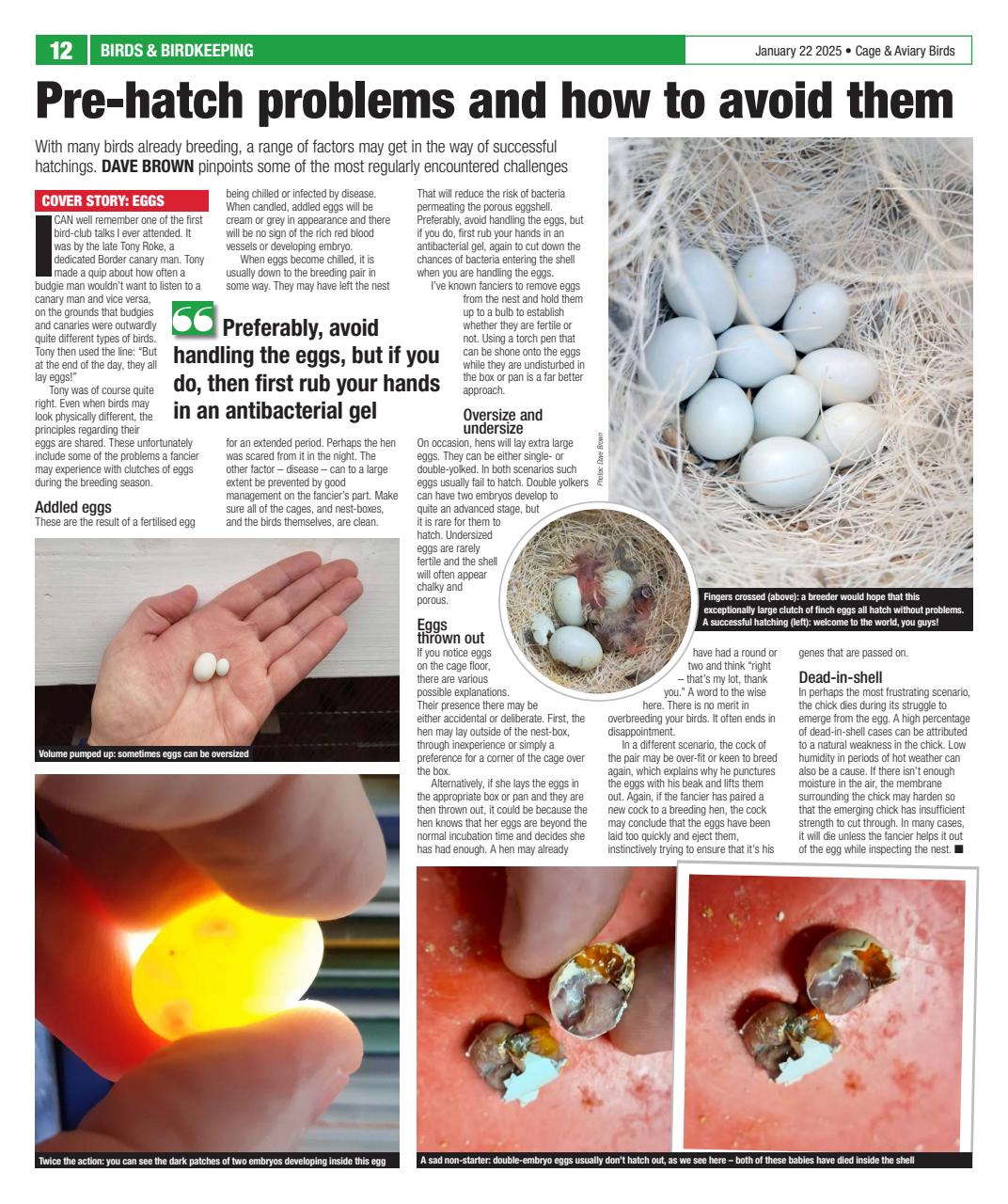 Cage & Aviary Birds Preview Pages