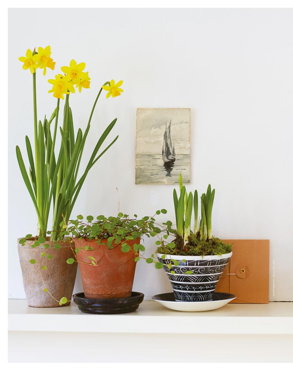 The Simple Things Preview Pages