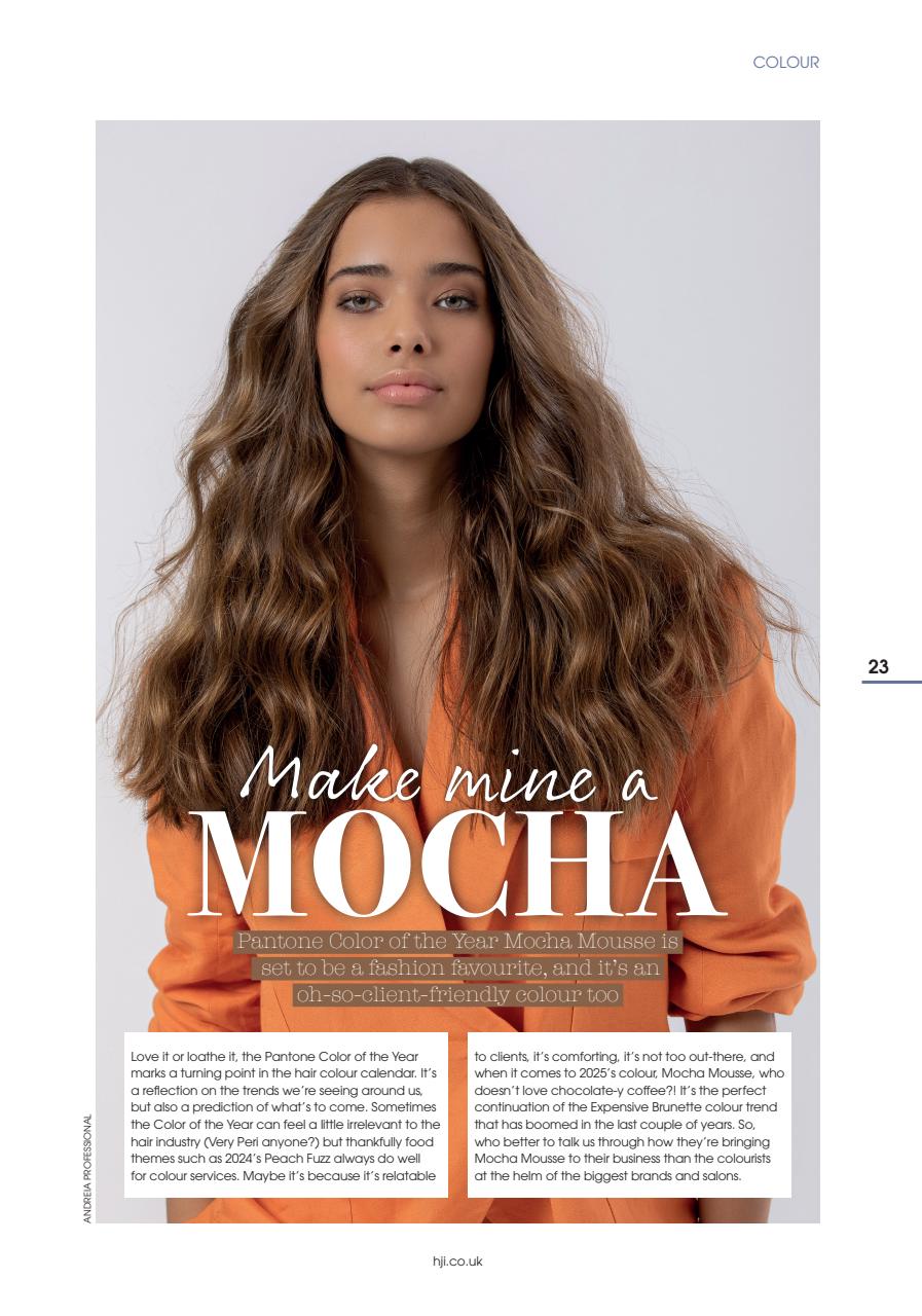 Hairdressers Journal Preview Pages