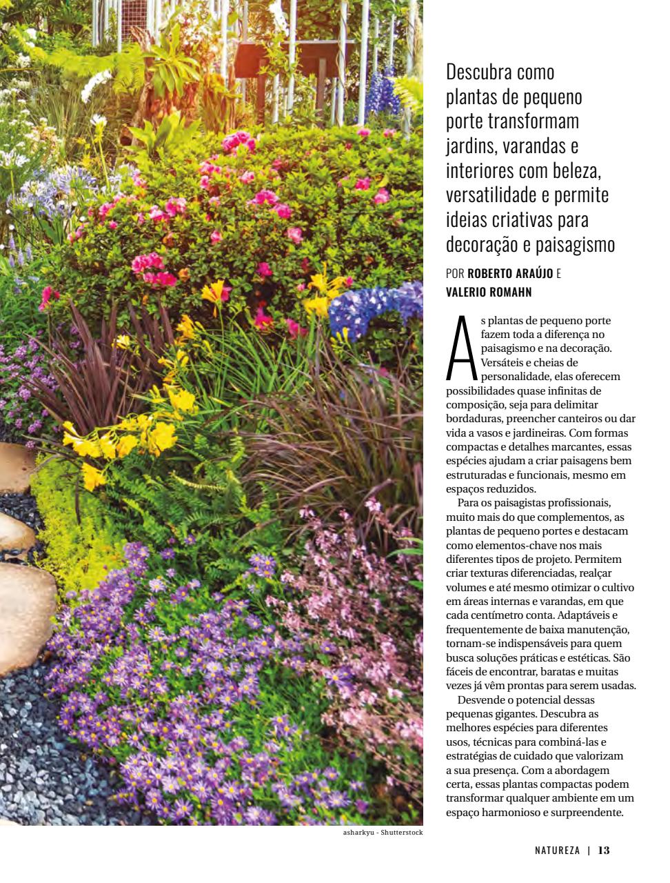 Natureza Preview Pages