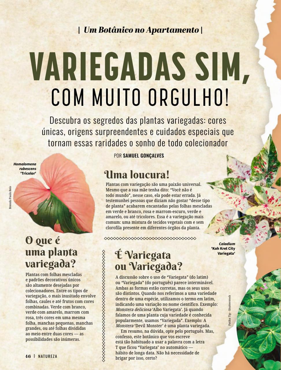 Natureza Preview Pages