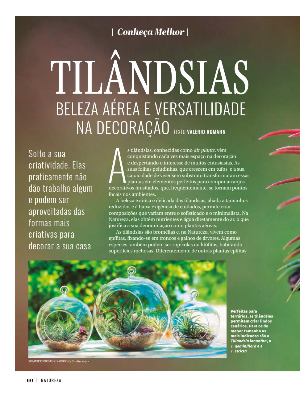 Natureza Preview Pages