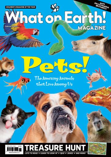 What on Earth! Magazine issue 