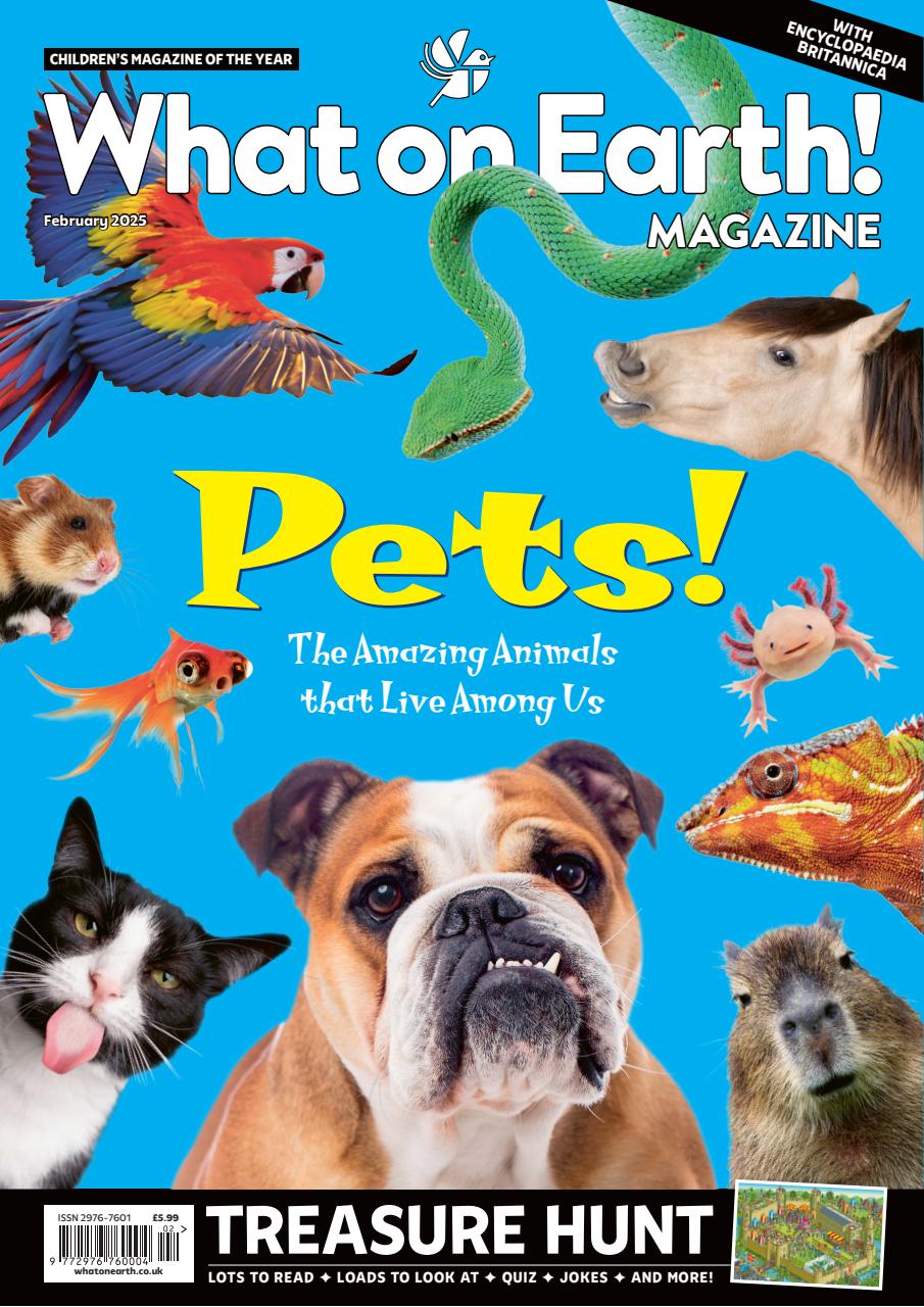 What on Earth! Magazine Preview Pages