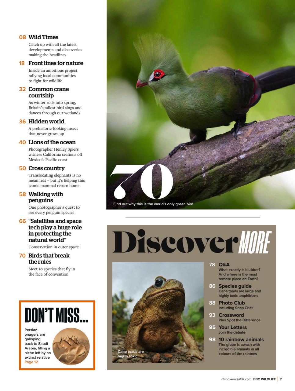 BBC Wildlife Magazine Preview Pages